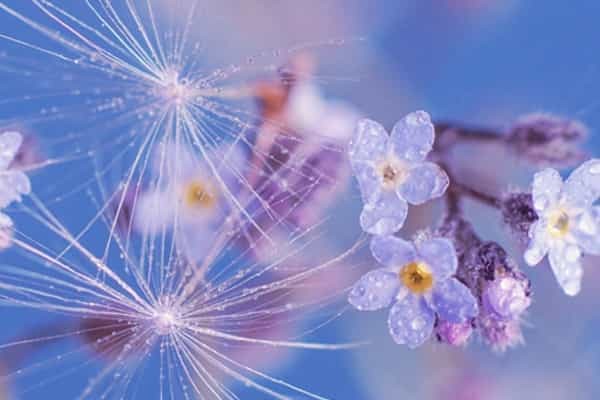 上海财经大学2025录取分数线是多少 各省最低分汇总